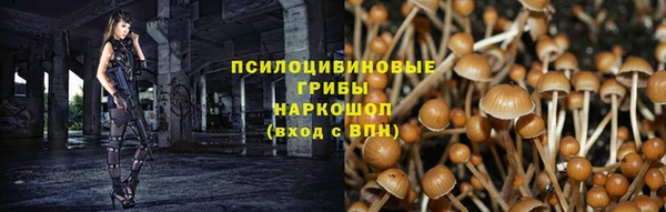 бутират Баксан