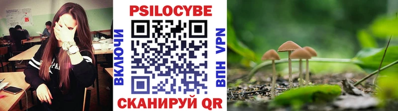 маркетплейс клад  Невель  Псилоцибиновые грибы мицелий 