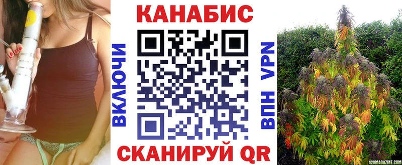 наркотики  Невель  Марихуана SATIVA & INDICA 